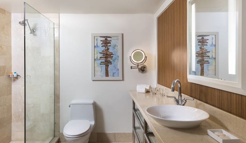 Deluxe Room Bathroom